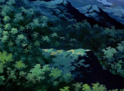 Brazilian jungle