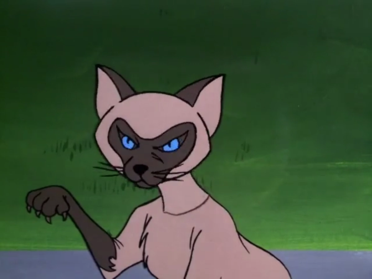 Cat man's Siamese cat Scoobypedia FANDOM powered by Wikia