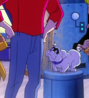 Bandit (the Quest dog)