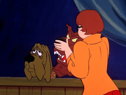 Devil Hound unmasked