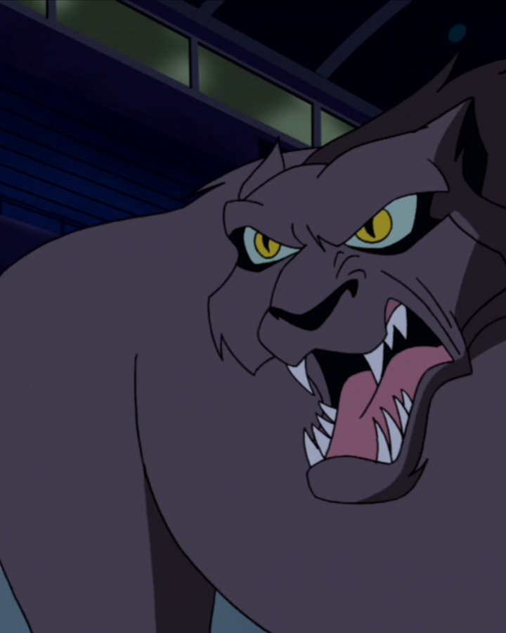 Cat Creature Homeward Hound Scoobypedia Fandom