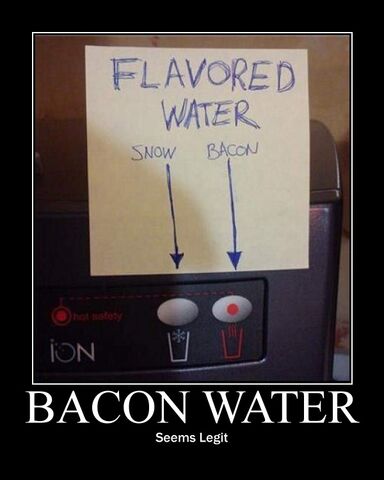 File:Bacon Water.jpg