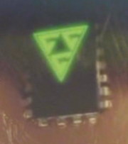 Gideon's microchip