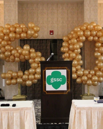 girl scouts light show 2018