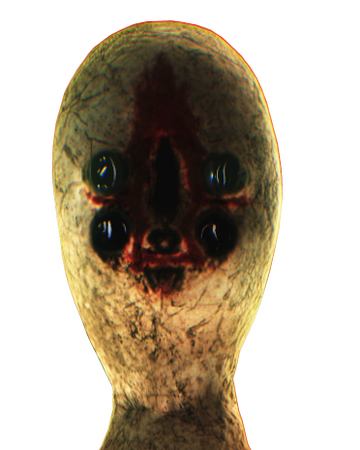 Scp 173 Scp Containment Breach Unity Edition Wiki Fandom