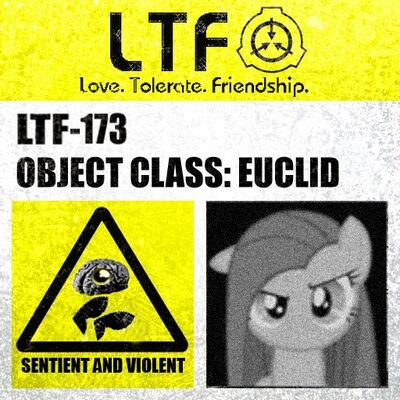Label173Newest