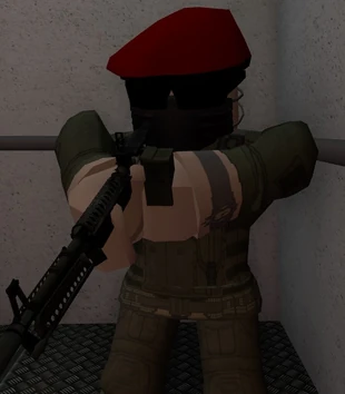 Chaos Insurgency | SCP Facility Lockdown Wiki | Fandom