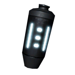 Flash