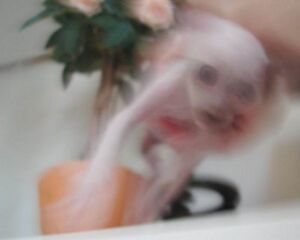 Scp-019-2