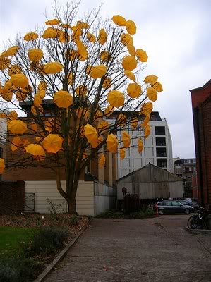 Scp-243-umbrella-flock-in-tree