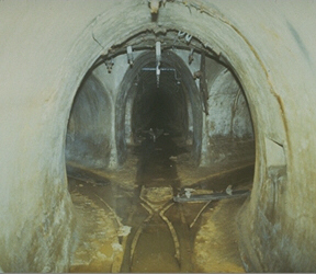 Img0012