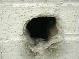 Scp-1162