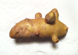 Patatas-1