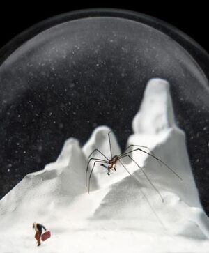 Snowglobe-7
