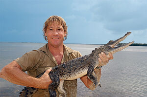 Gatorboy