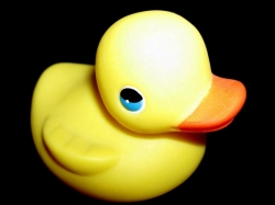 Patitodegomascp