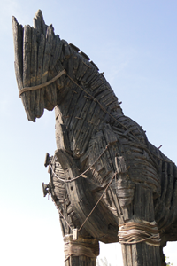 Horse