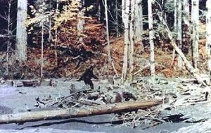 Bigfoot patterson01