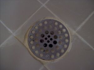 SCP-153