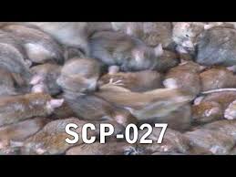 SCP-027 | SCP-Readings Wiki | Fandom
