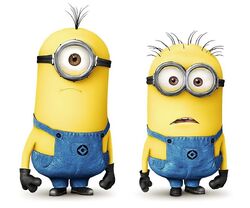 Admin team