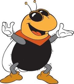 Puck the Fly