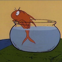norval the fish scratchpad fandom