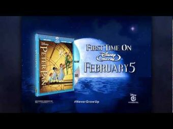 Opening To Charlie And The Chocolate Factory 2013 3d Blu Ray