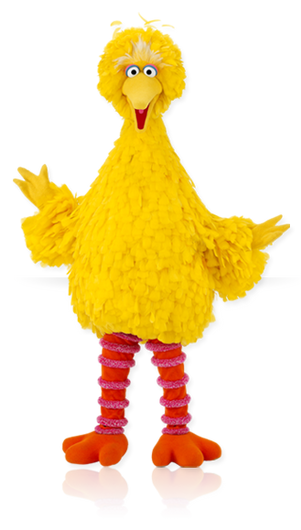 Bigbird
