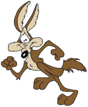 Wile E. Coyote