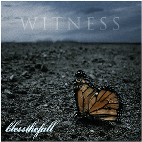 Witness