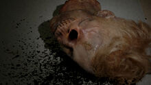 Tyler's Head