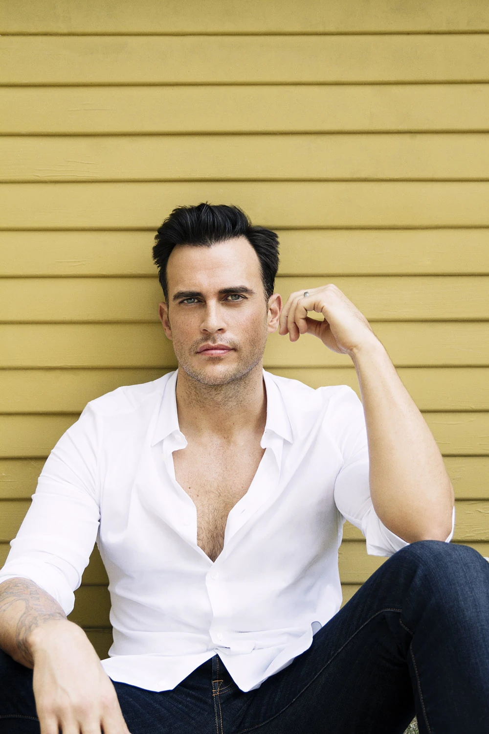 Cheyenne Jackson American Horror Story & Scream Queens Wiki Fandom