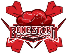 Bonestorm