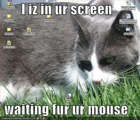 Inurscreen