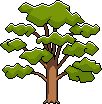 CedarSS