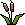 Bulrush