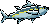 Tuna