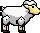 Ewe