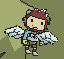 Maxwell flying with wings
