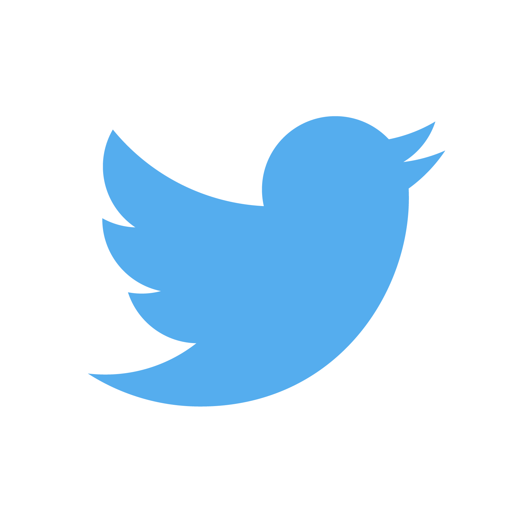 Code For Twitter Bird Roblox