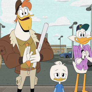 Drake Mallard 2017 Gallery Ducktales Wiki Fandom