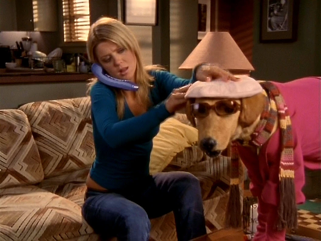 Rowdy Scrubs Wiki FANDOM powered by Wikia