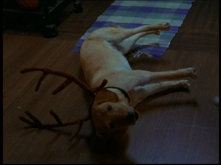 Image 2x10 Rowdy.jpg Scrubs Wiki FANDOM powered by Wikia