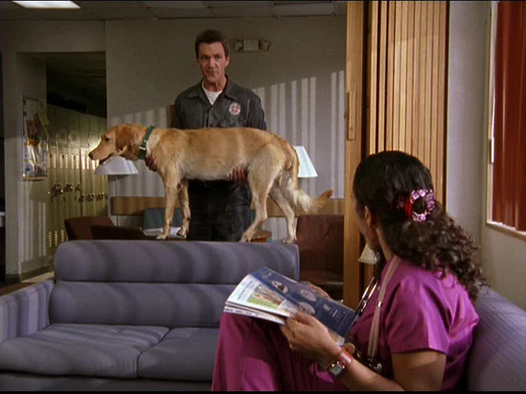 Steven Scrubs Wiki FANDOM powered by Wikia