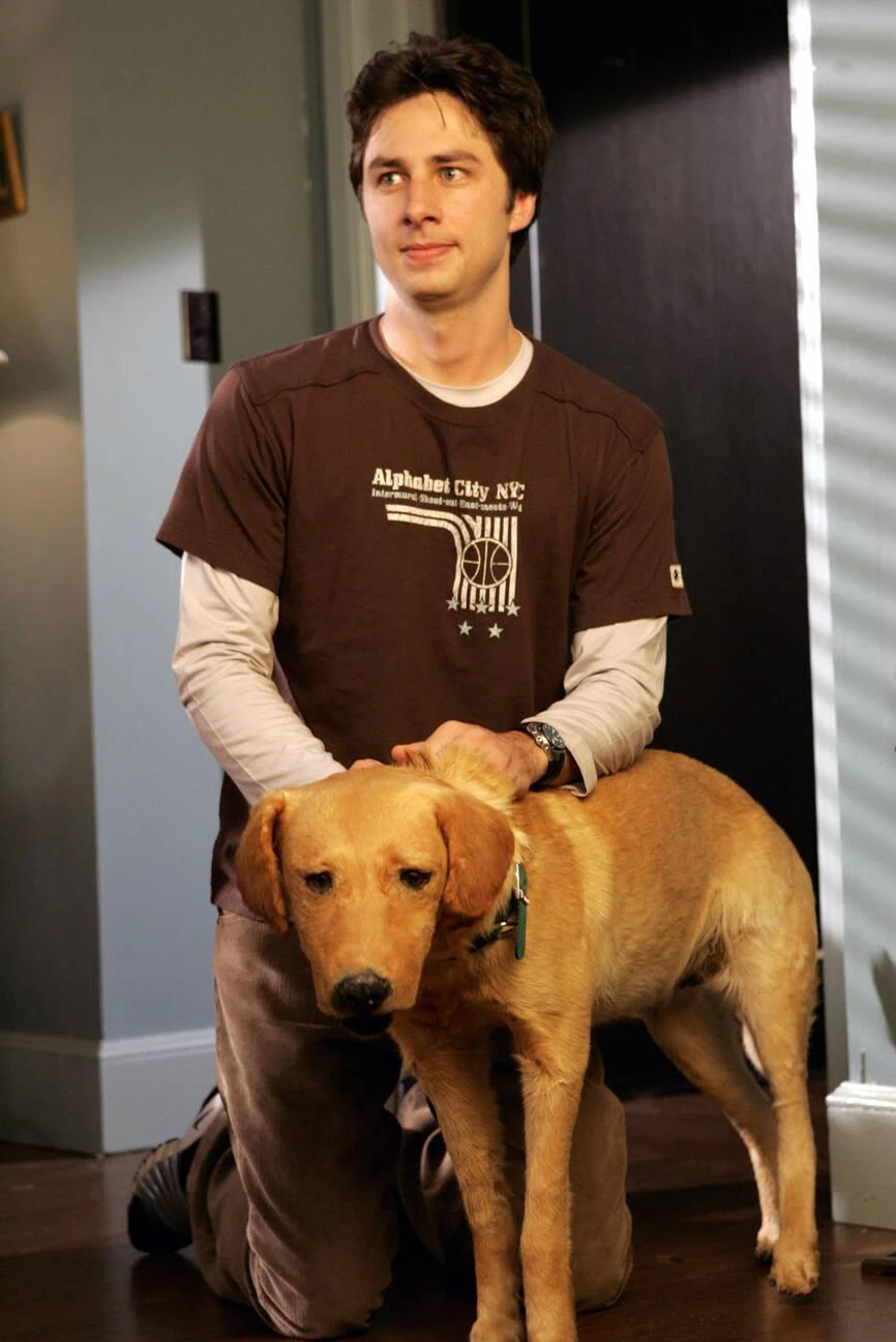 Rowdy ScrubsWiki FANDOM powered by Wikia