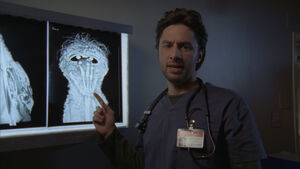 8x5 Ex-Ray x-ray