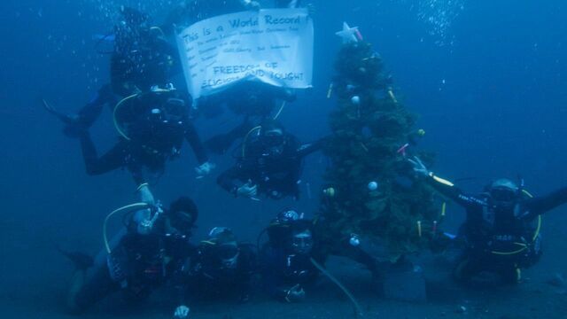 File:DiveTeam 37.5Meters tree.jpg