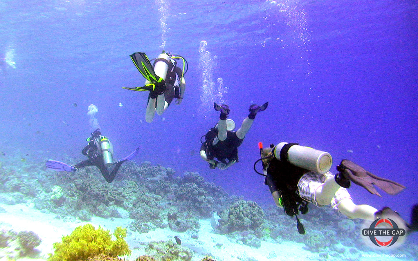 SCUBA | Scuba Diving Wiki | Fandom