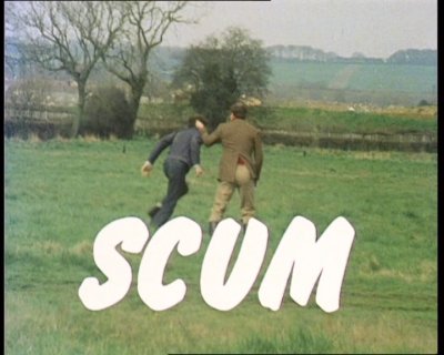 Scum77